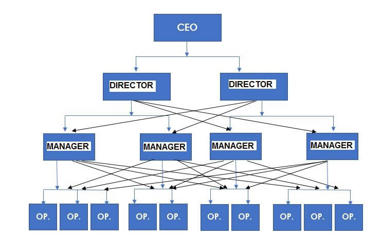 Organizational structure example – Functional