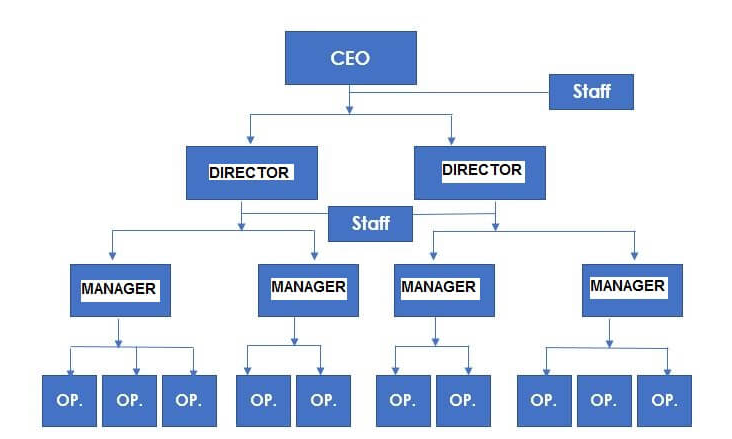 Organizational structure example – Line-and-staff
