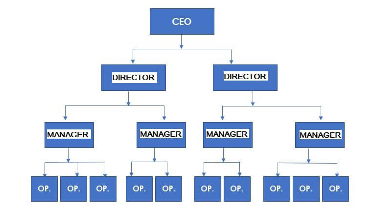 Organizational structure example – Line