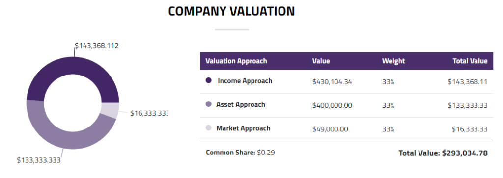company valuation 
