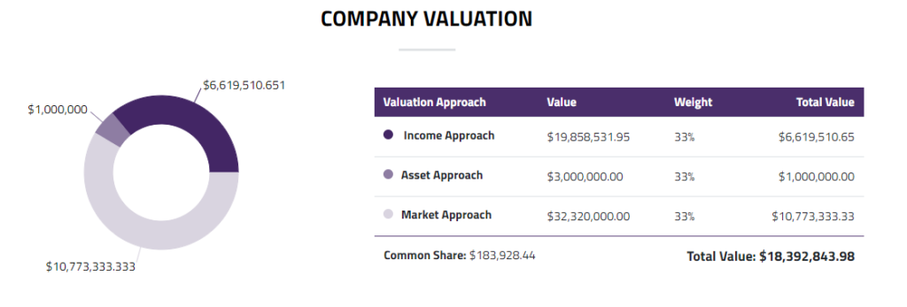 company valuation 