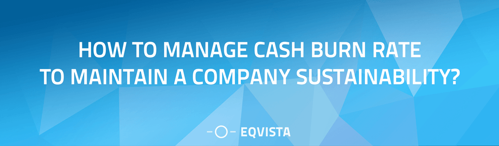 How to manage cash burn rate to maintain a company sustainability?