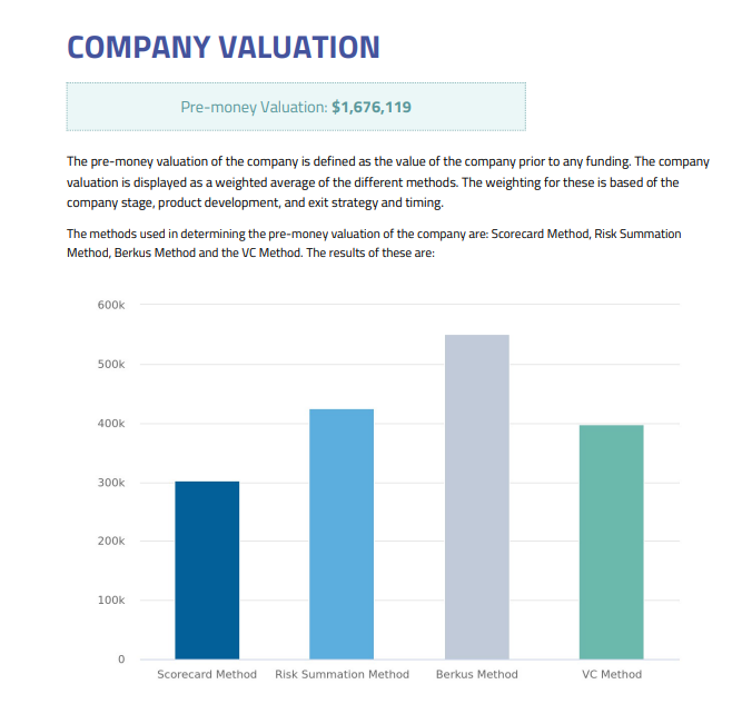 Company valuation report 