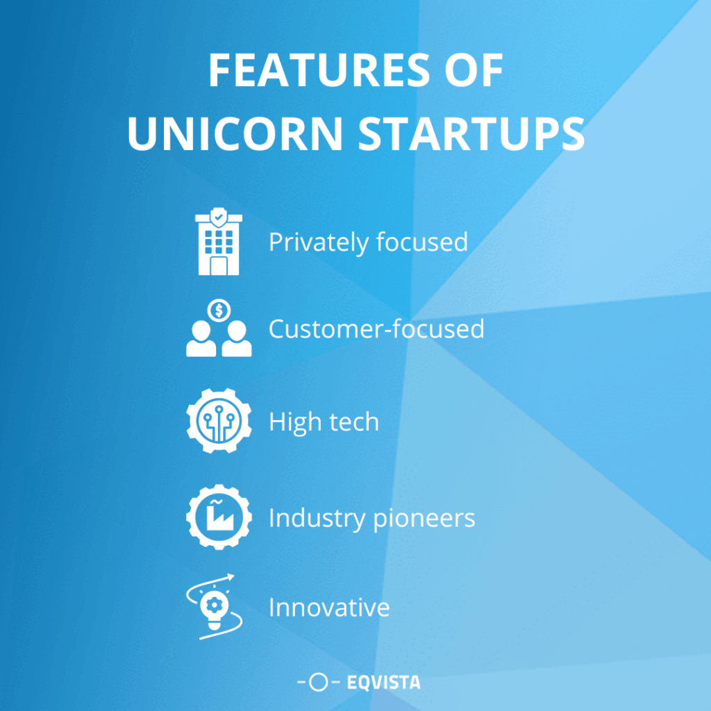 Features of unicorn startups