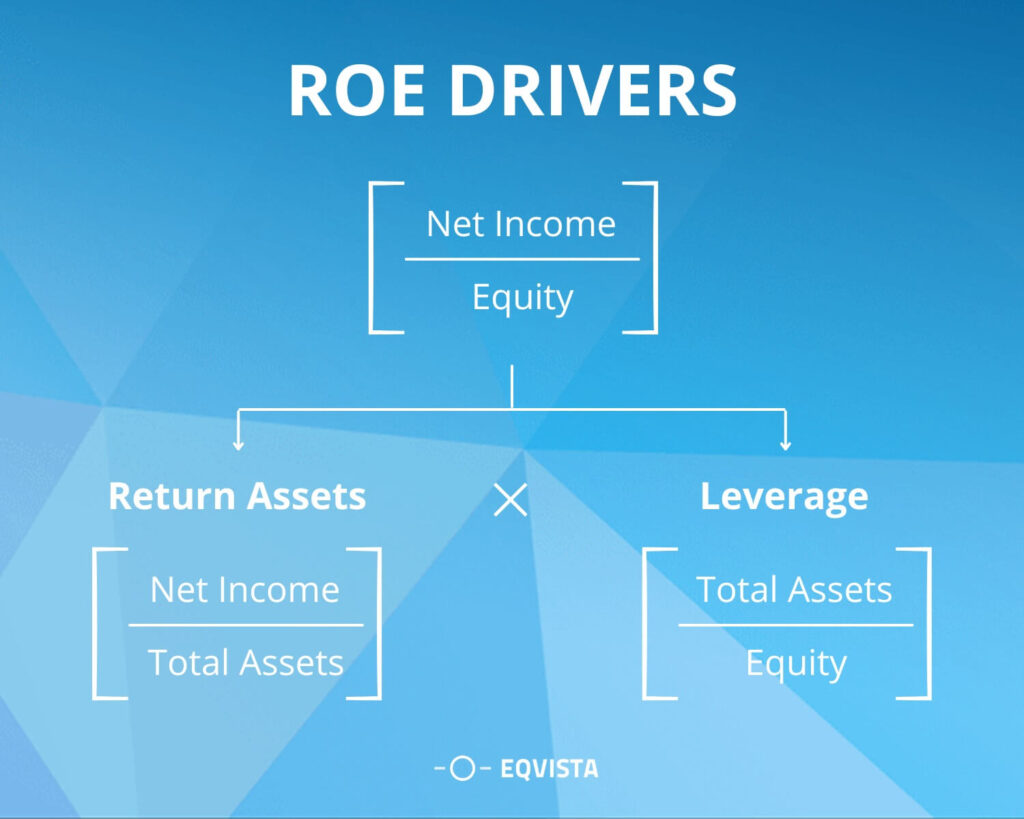 ROE formula and formula drivers