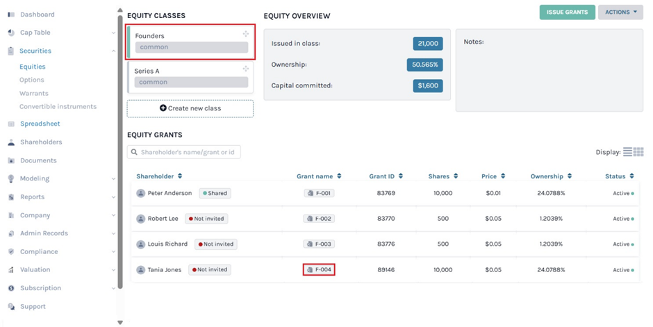 Founders equity class