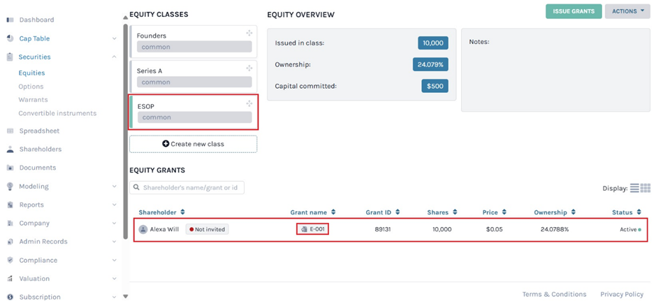 equity grants