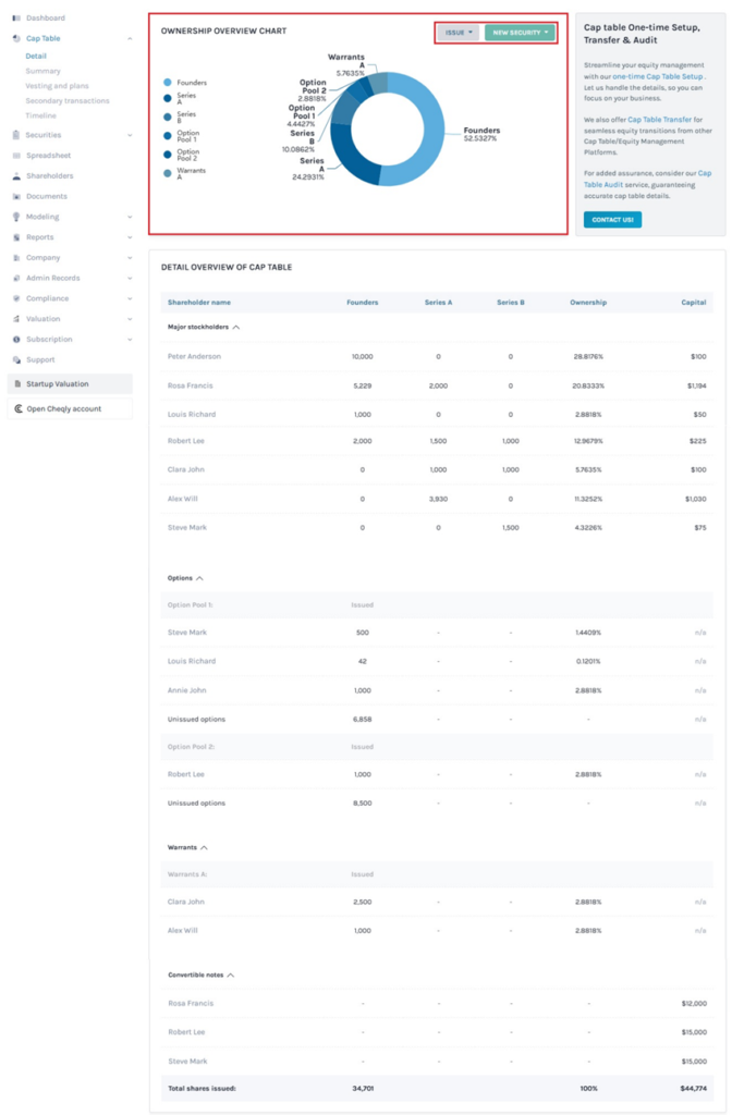 overview of cap table