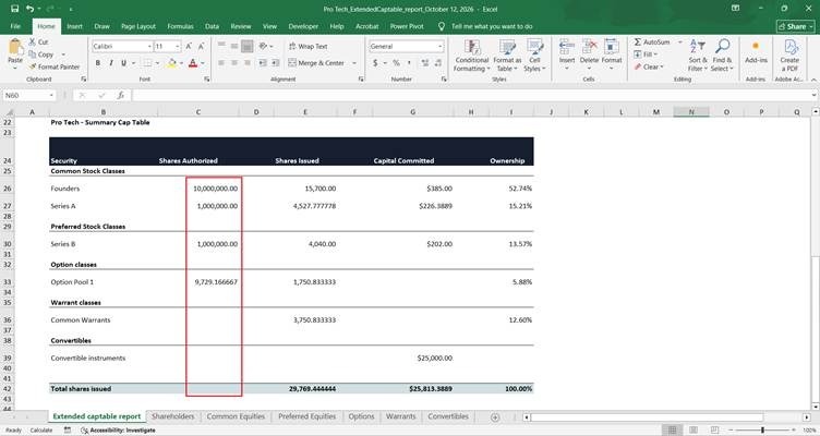 downloaded extended cap table report