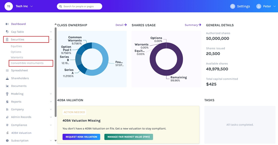 Convertible Instruments