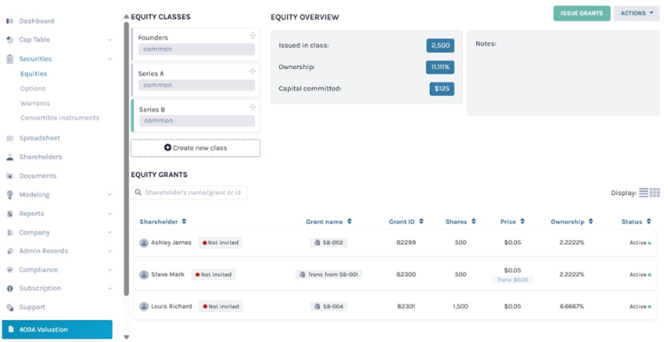 equity grants