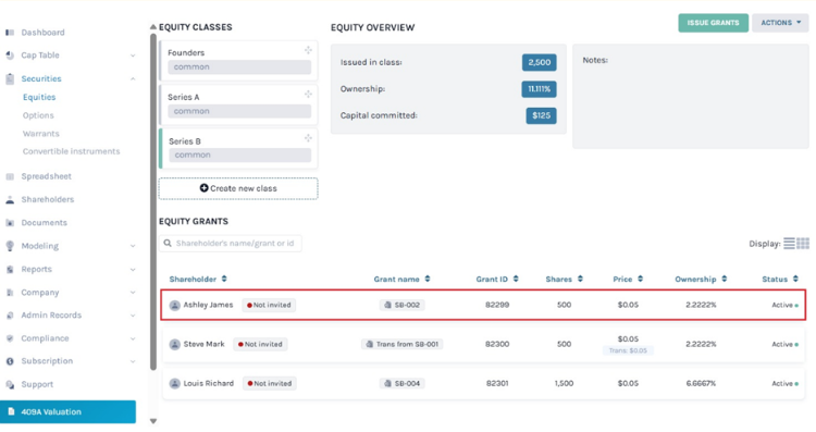 equity grants