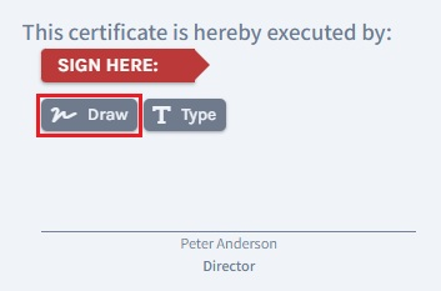 draw signature 