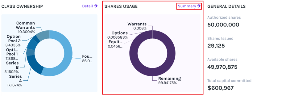 Authorized Shares Usage