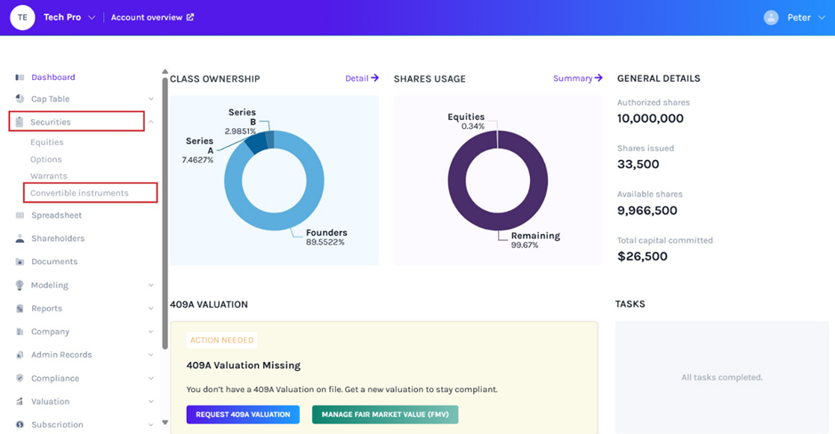 Convertible Instruments