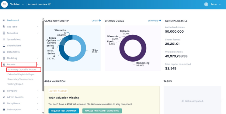 Summary Captable Report