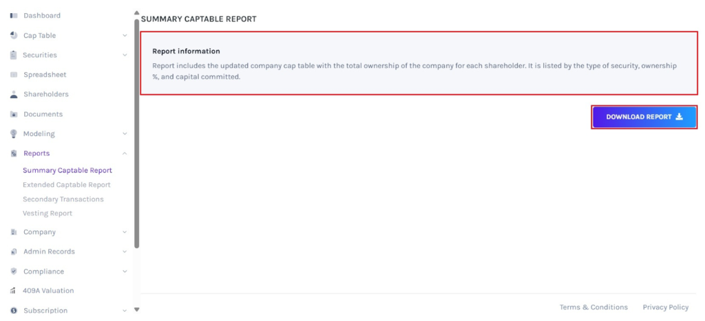 summary cap table report 