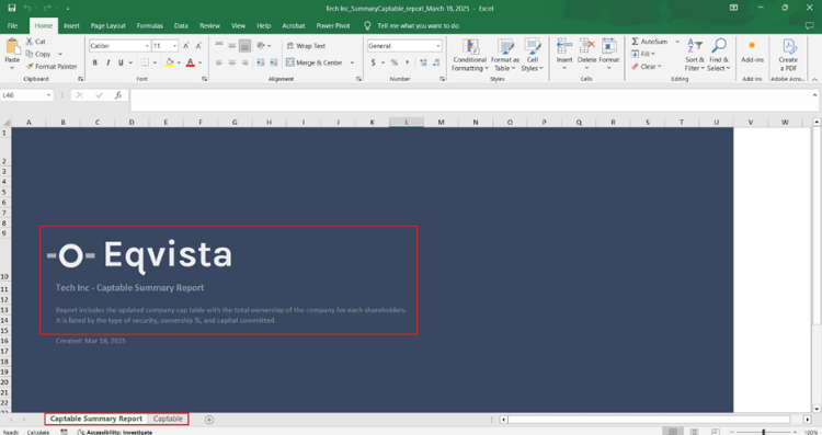 captable summary report
