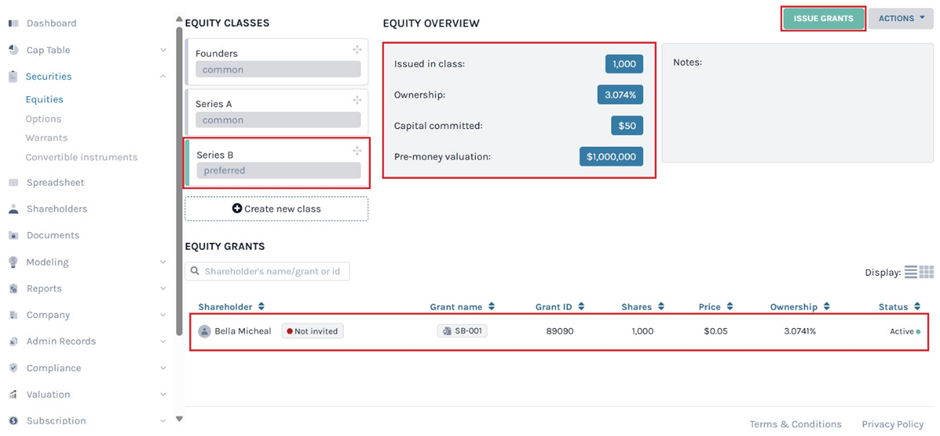 equity grants