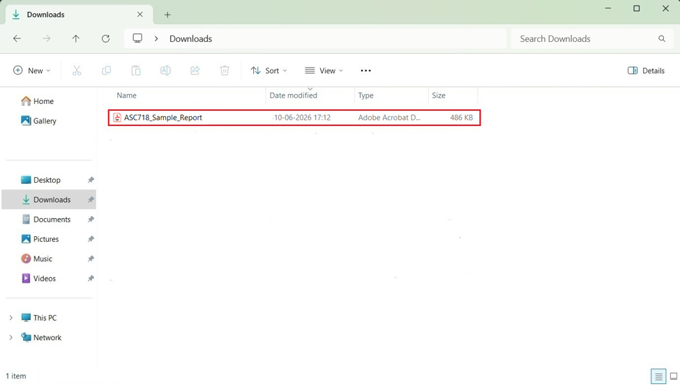 report gets downloaded as a PDF in your Downloads