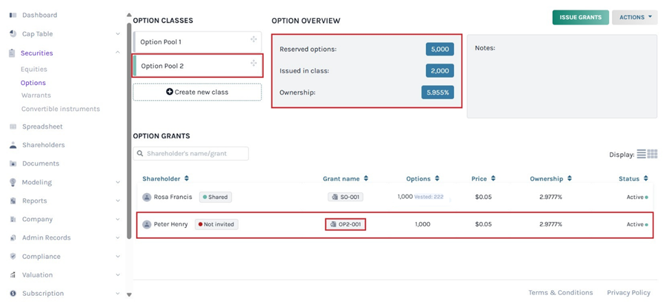 number of shares issued under this option pool