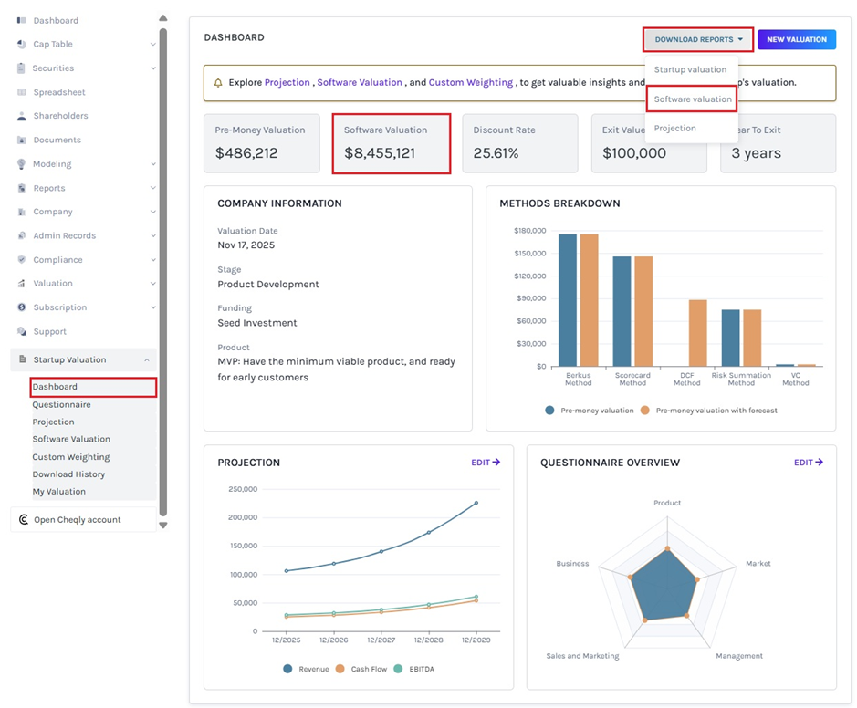 software valuation report 