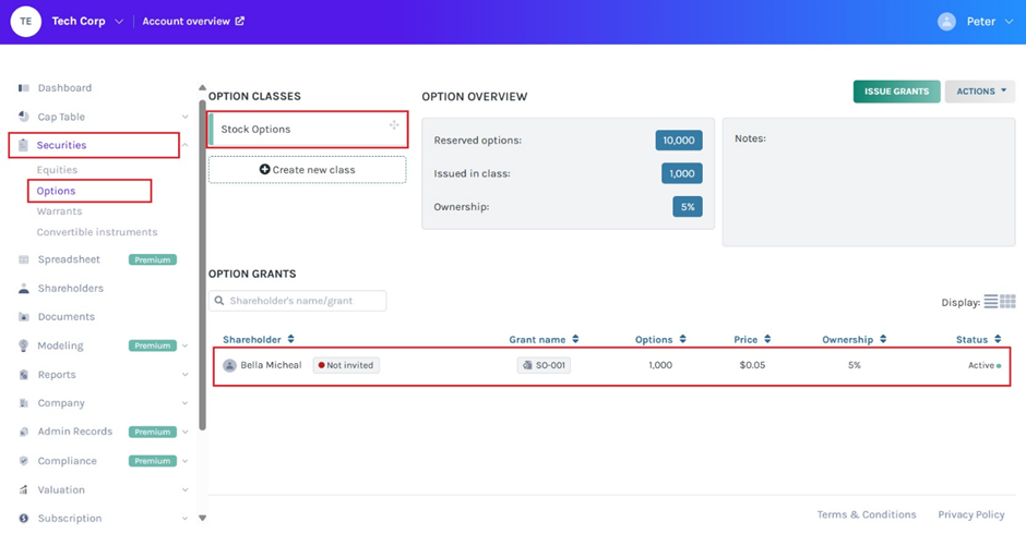 details of the issuance