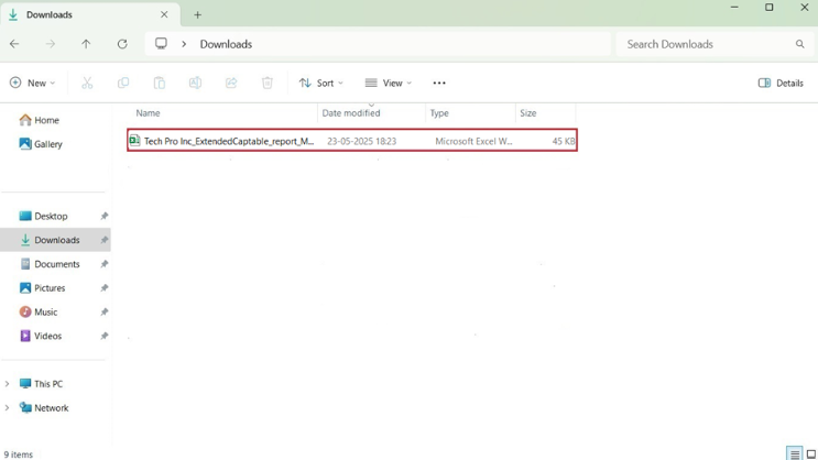 Excel sheet in your Downloads