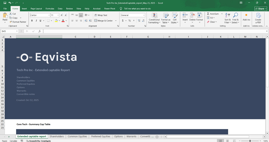 Double-click the Excel sheet to open the downloaded report