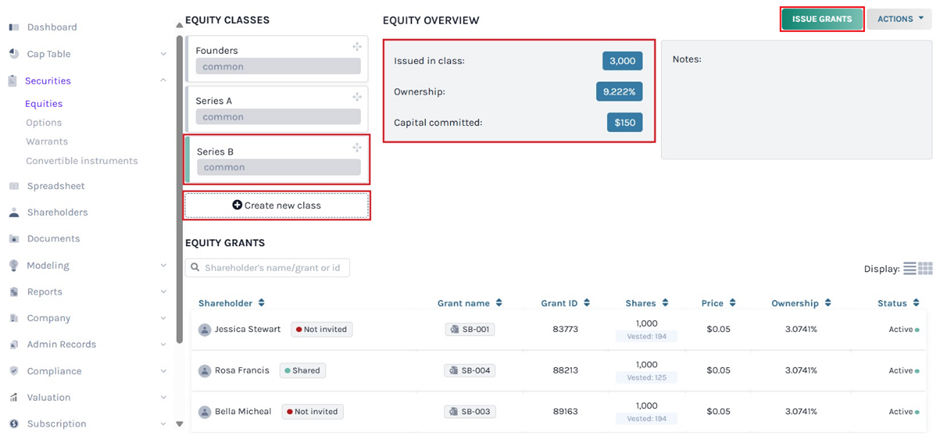issue shares to the shareholder