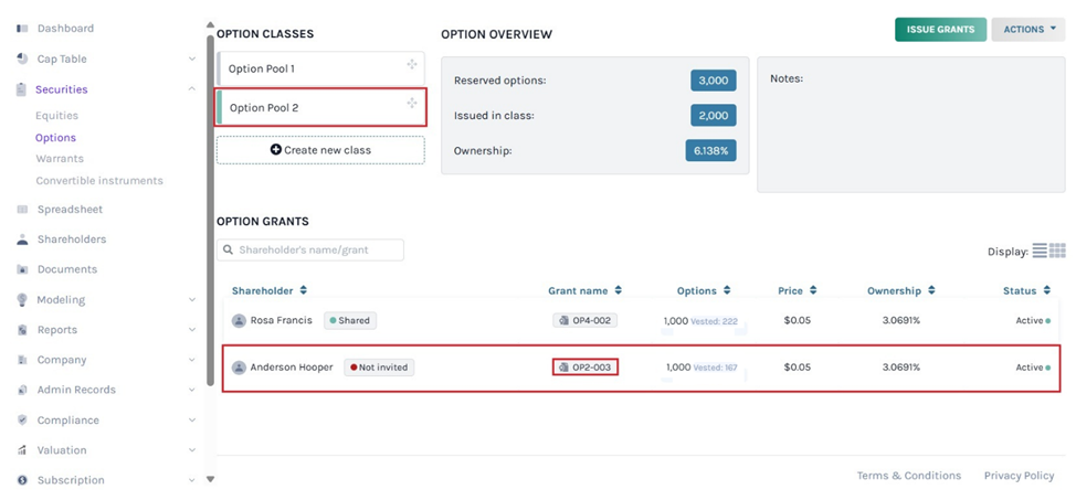 option grant details 