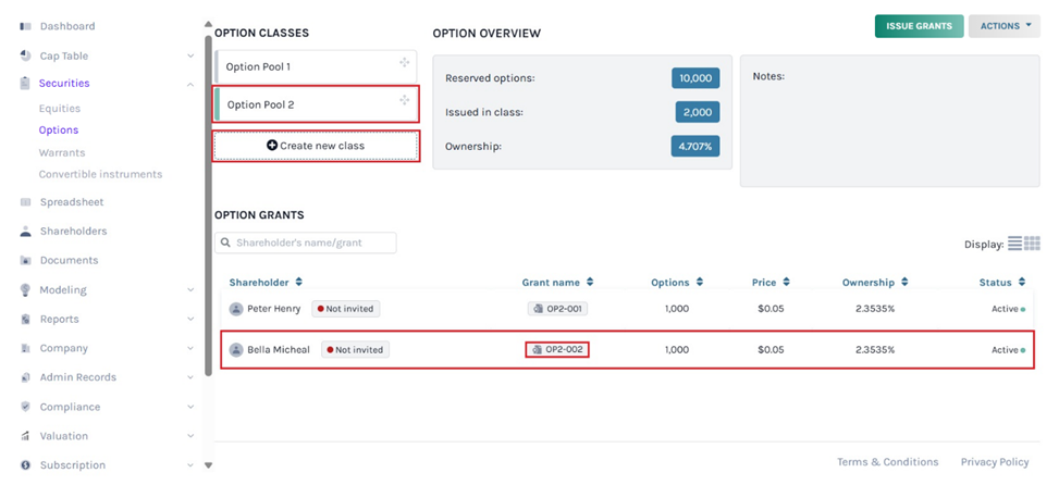 create new option class