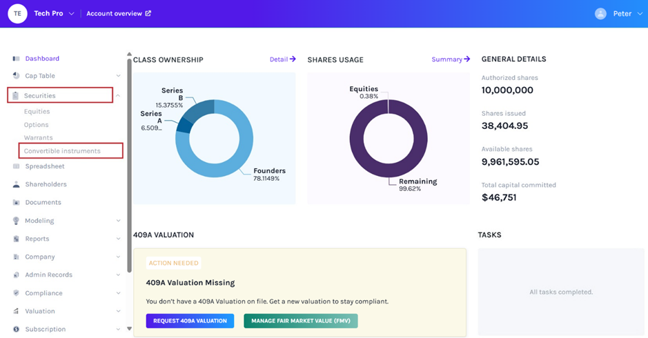Convertible Instruments