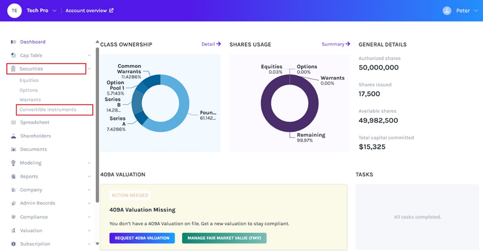 Convertible Instruments