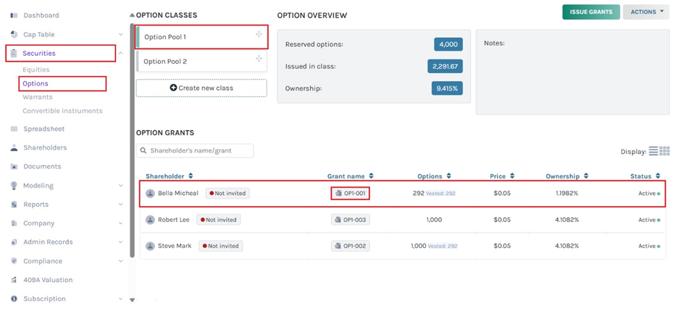 option grants overview 