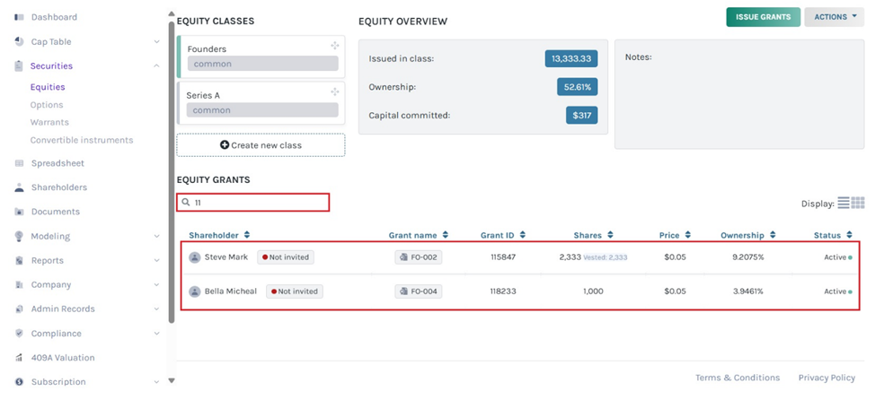 equity grants overview 