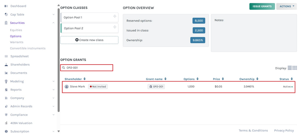 option grant name,