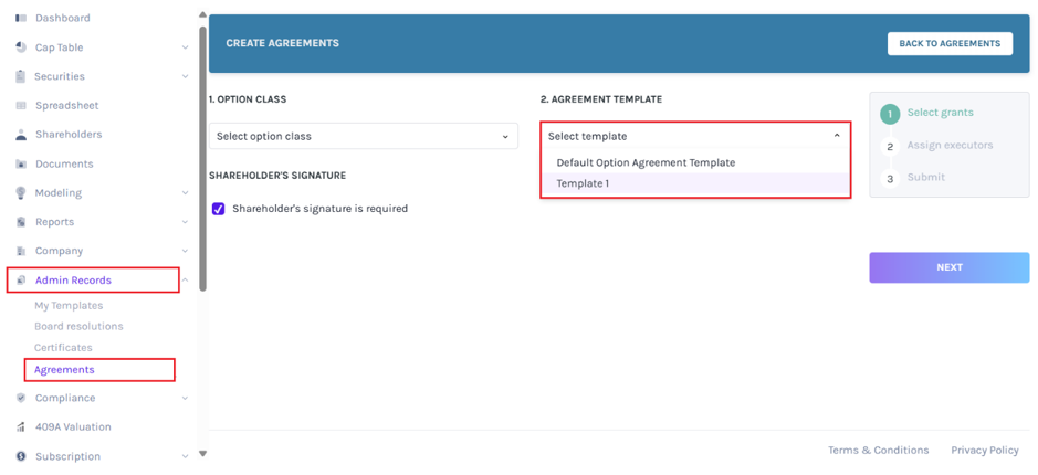 Option Grant Agreement Template