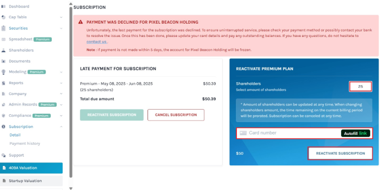 payment for subscription