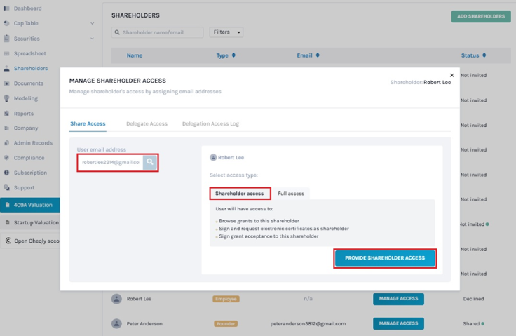 shareholder access