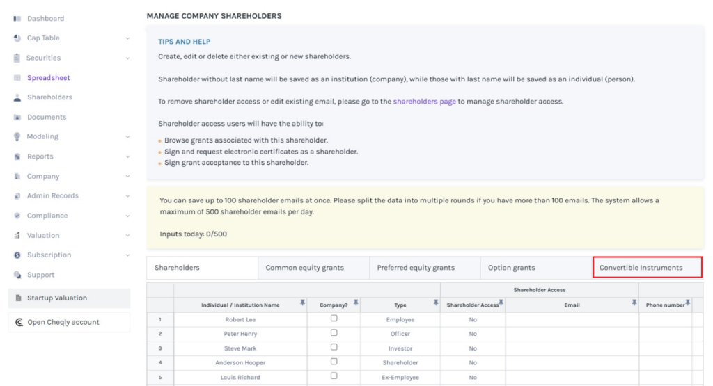 Convertible Instruments