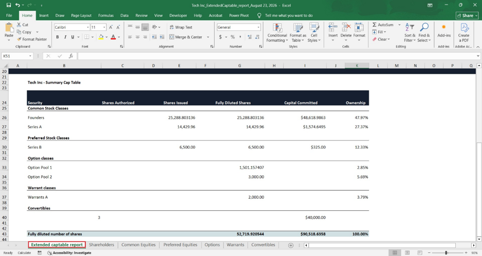 cap table report 