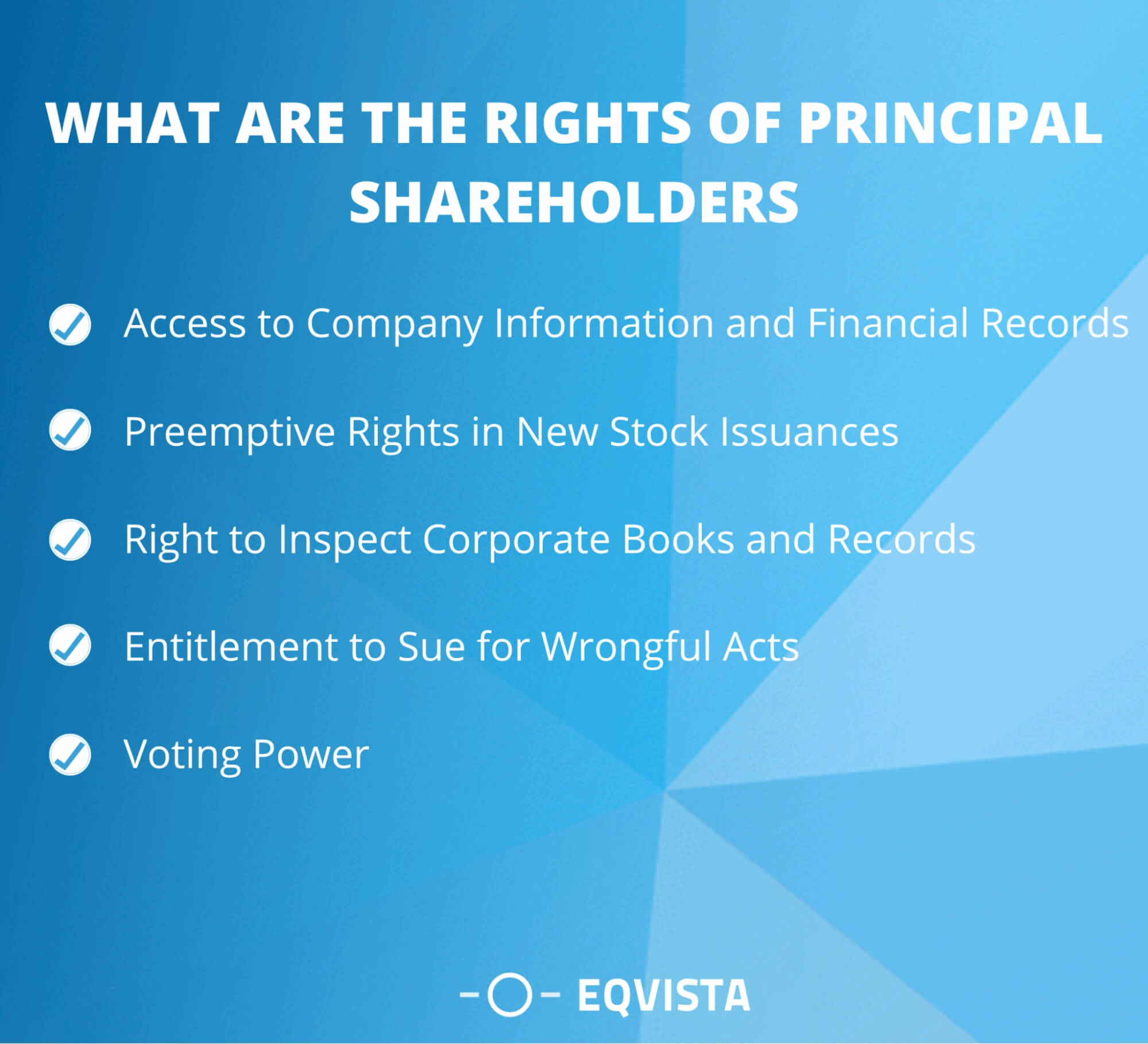 PRINCIPAL SHAREHOLDERS UNDERSTANDING THEIR INFLUENCE AND visual data 4